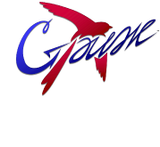 Самарская транспортная компания